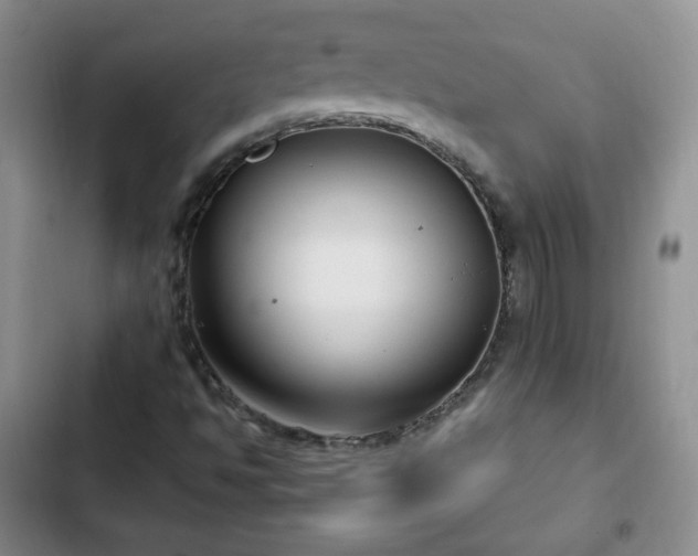 X0000102761494200808251016