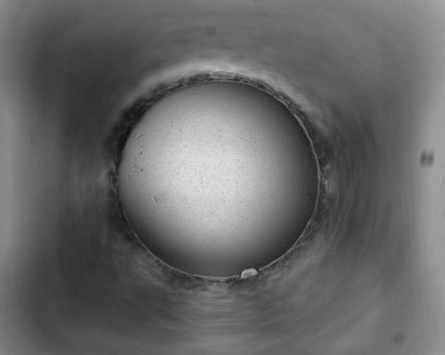 X0000102761495200808251016