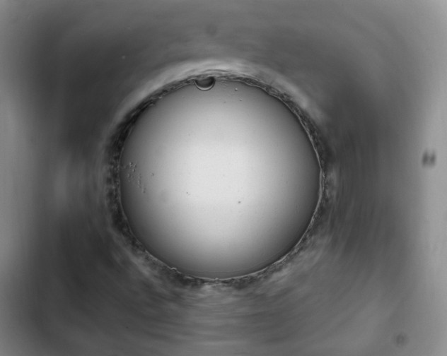 X0000102761496200808251016