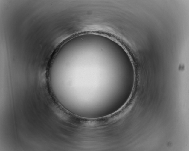 X0000102761497200808251016