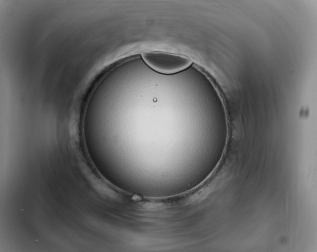 X0000102761499200808251016