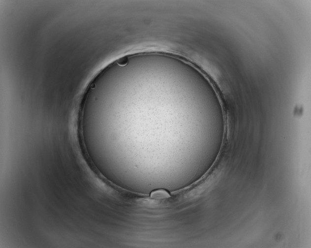 X0000102761500200808251016