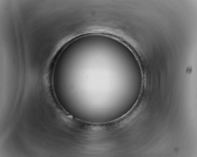 X0000102761501200808251016