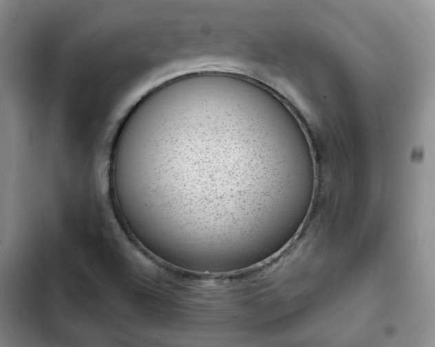 X0000102761504200808251016