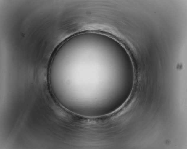 X0000102761505200808251016