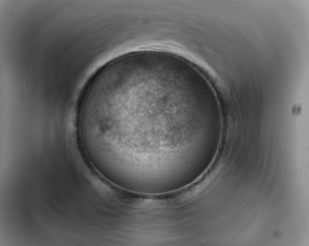 X0000102761506200808251016