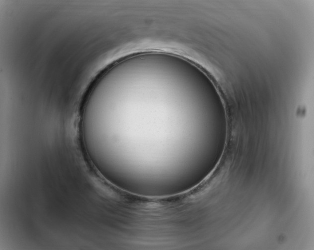 X0000102761507200808251016