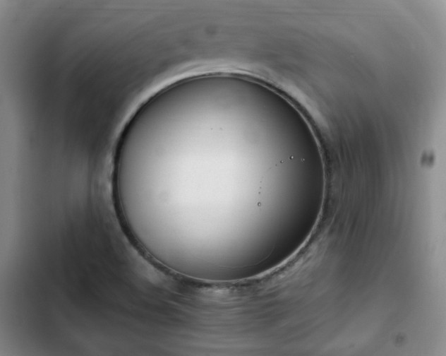 X0000102761508200808251016