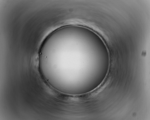 X0000102761509200808251016