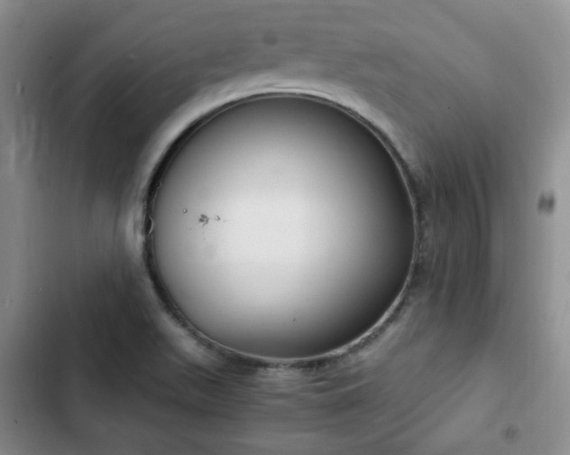 X0000102761511200808251016