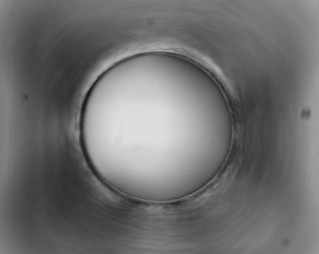 X0000102761512200808251016