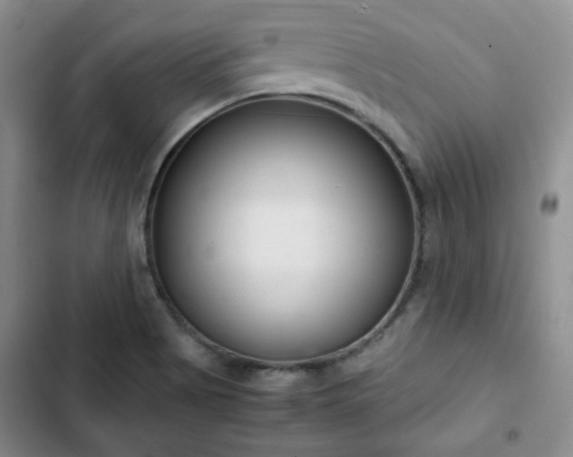 X0000102761513200808251016