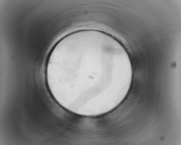 X0000102761514200808251016