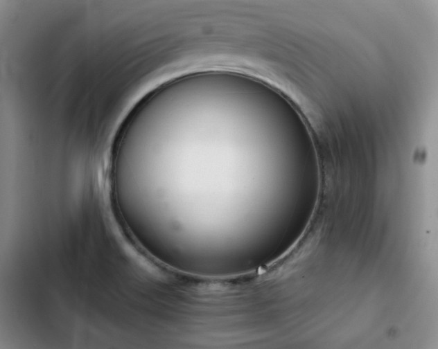 X0000102761515200808251016