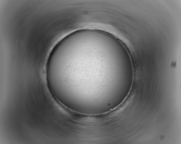 X0000102761517200808251016