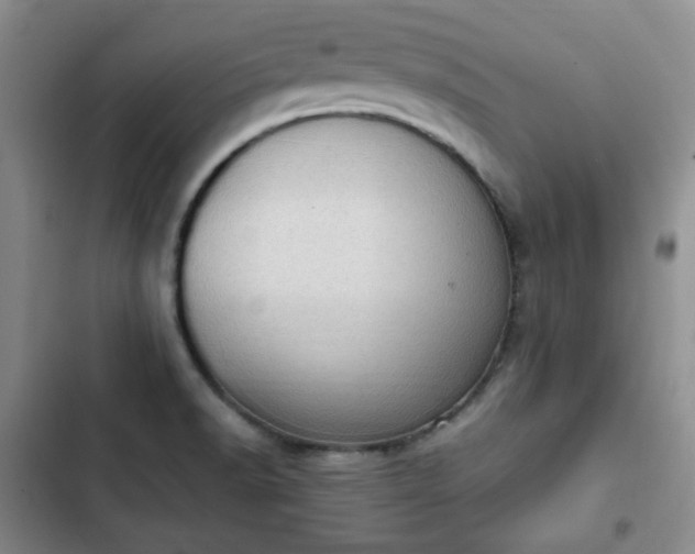 X0000102761518200808251016