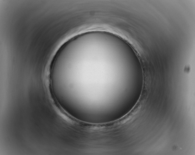 X0000102761519200808251016