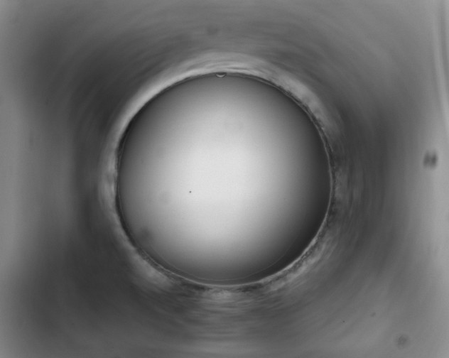 X0000102761520200808251016