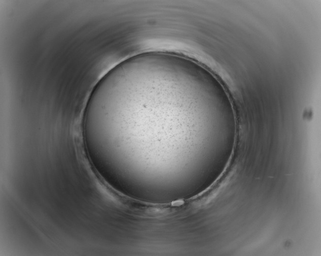 X0000102761521200808251016