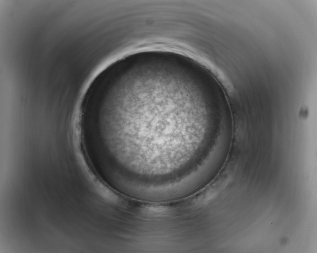 X0000102761522200808251016