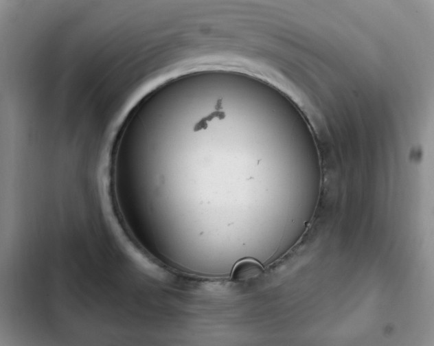 X0000102761523200808251016