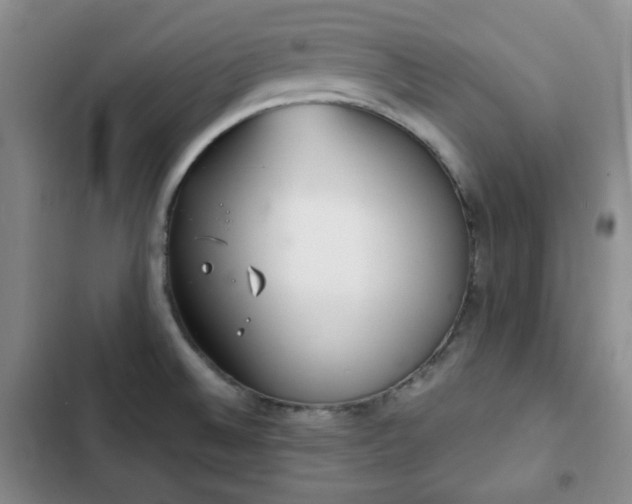 X0000102761524200808251016