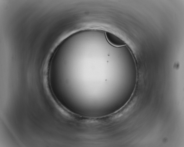 X0000102761525200808251016