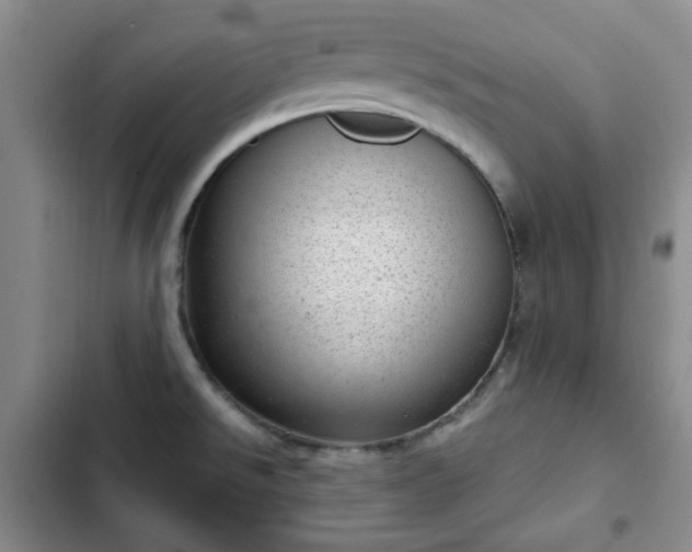 X0000102761526200808251016