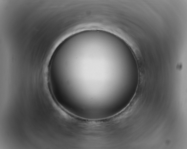 X0000102761527200808251016