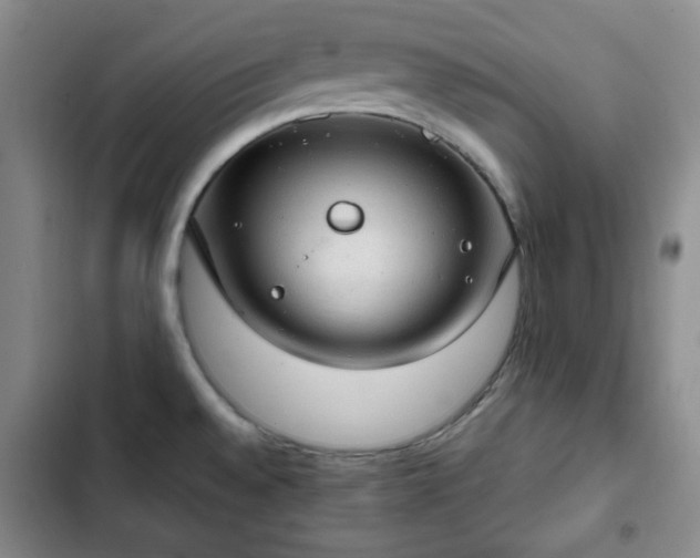 X0000102761528200808251016