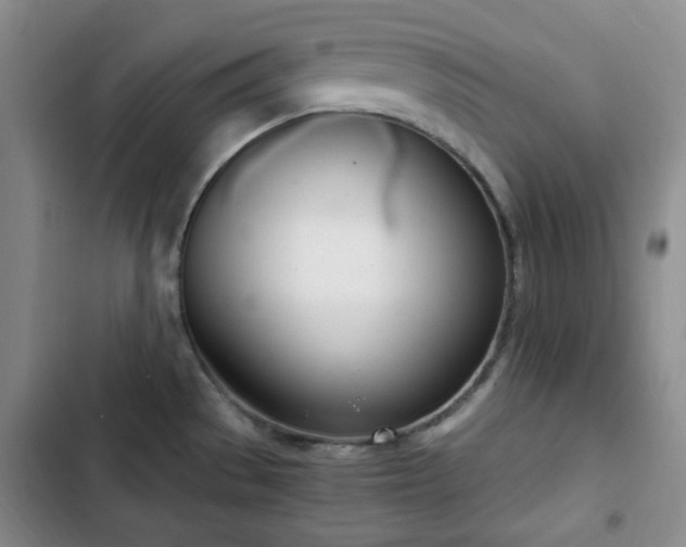 X0000102761529200808251016