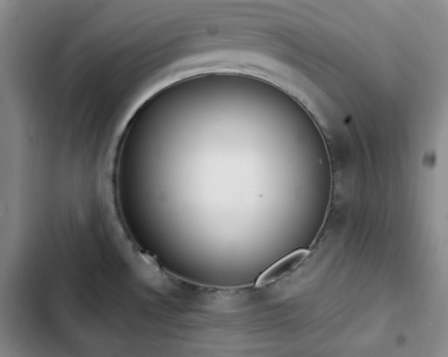 X0000102761530200808251016