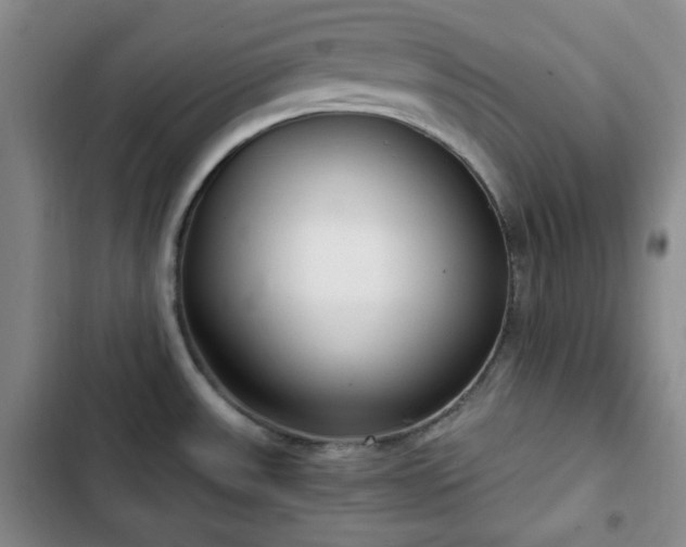 X0000102761531200808251016