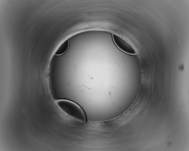 X0000102761532200808251016