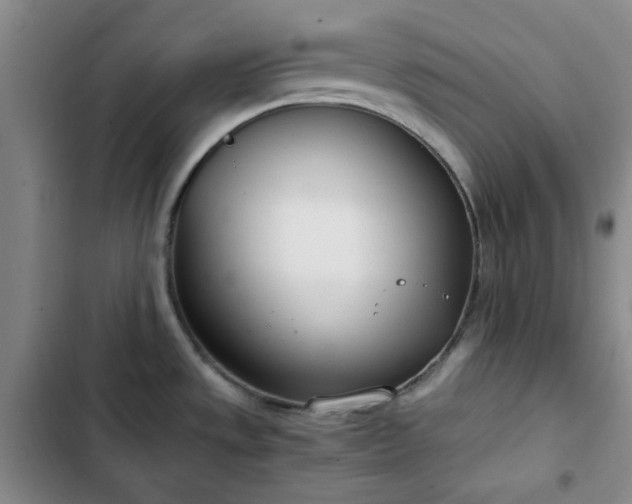 X0000102761533200808251016