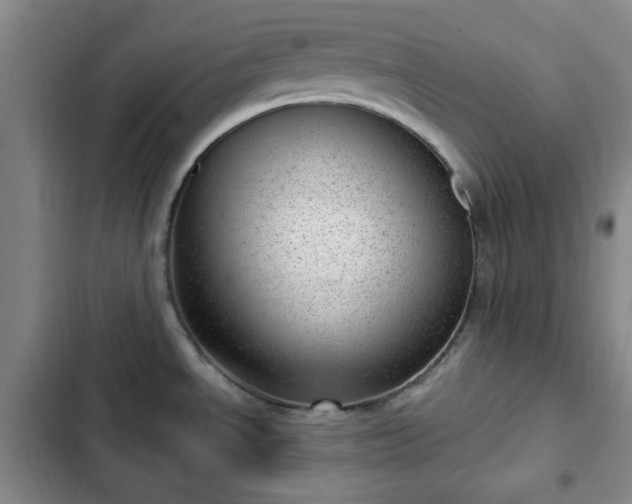 X0000102761534200808251016