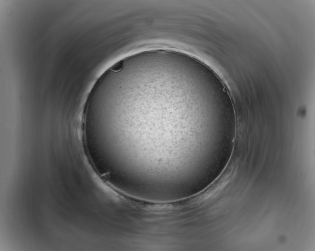 X0000102761535200808251016