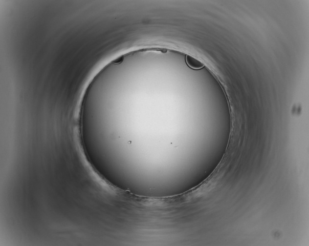 X0000102761536200808251016