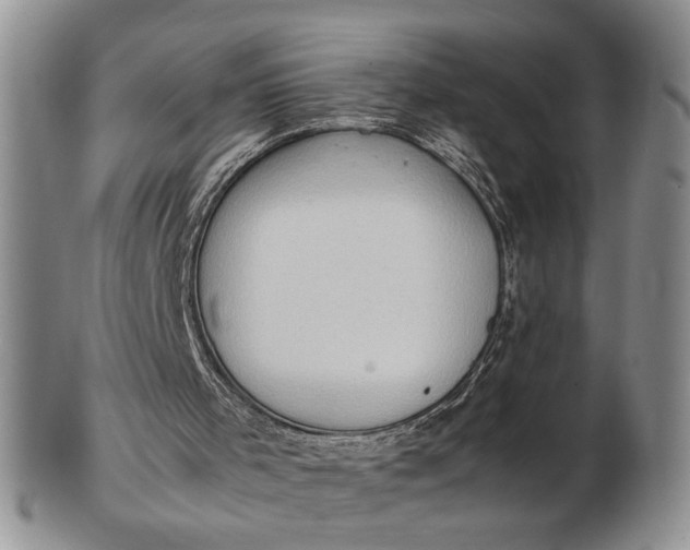 X0000102760001200809021017