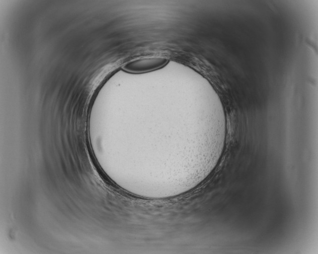 X0000102760003200809021017