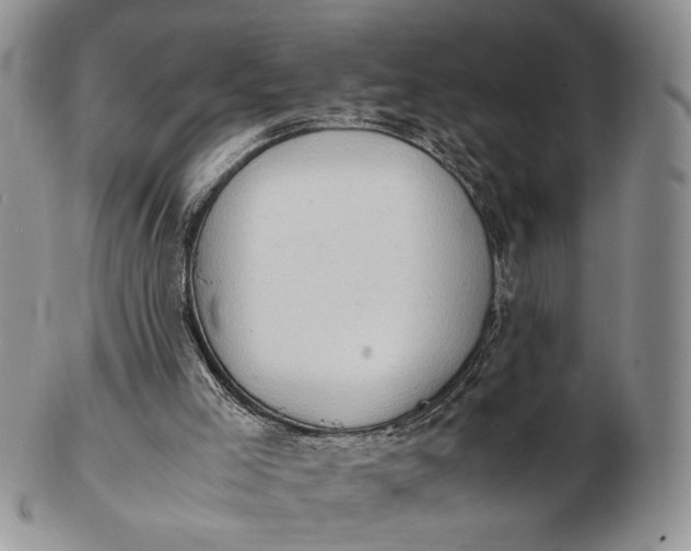 X0000102760005200809021017