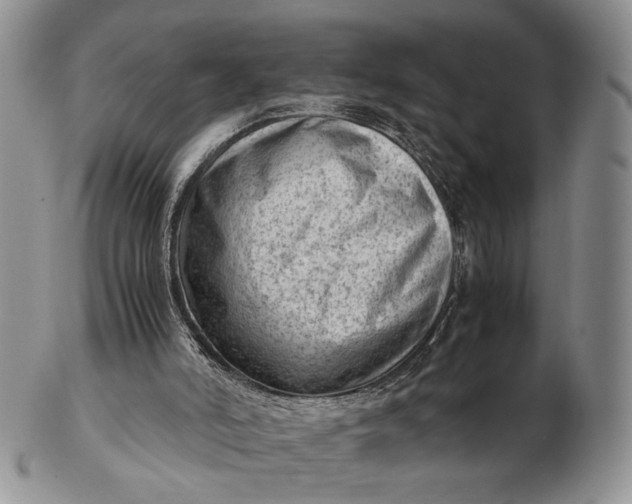 X0000102760006200809021017