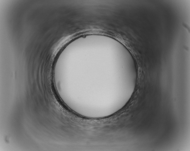 X0000102760007200809021017