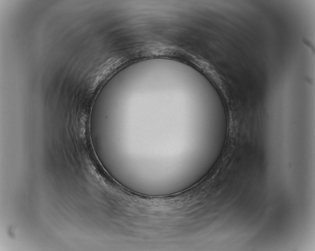 X0000102760010200809021017