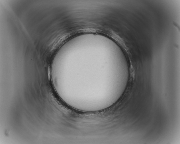 X0000102760013200809021017