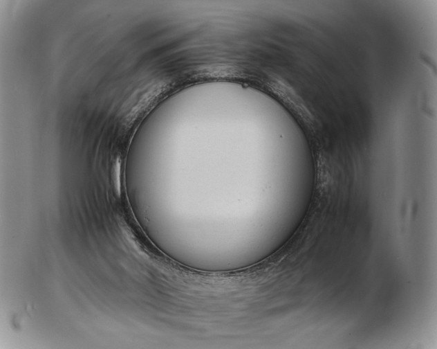 X0000102760014200809021017