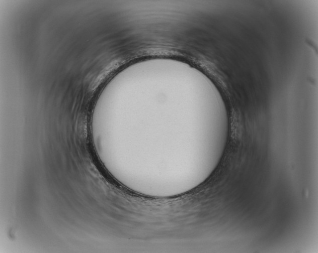 X0000102760015200809021017