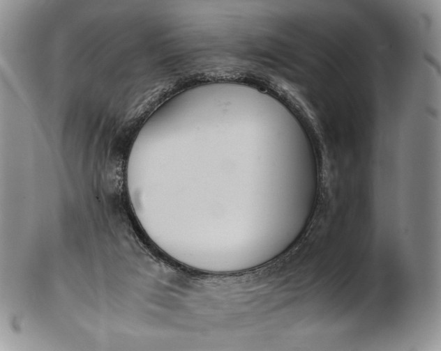 X0000102760017200809021017