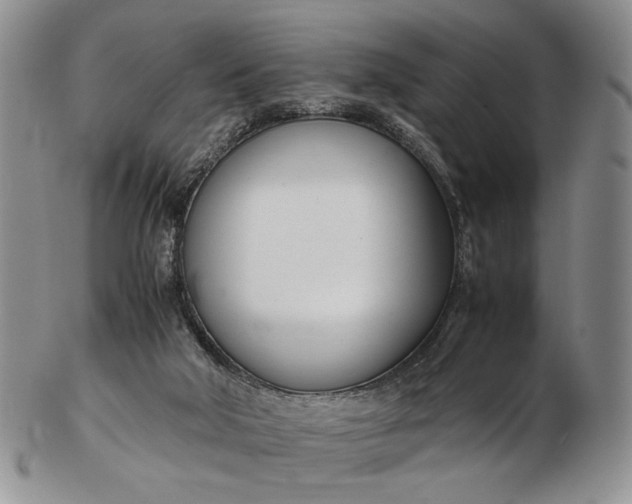 X0000102760018200809021017