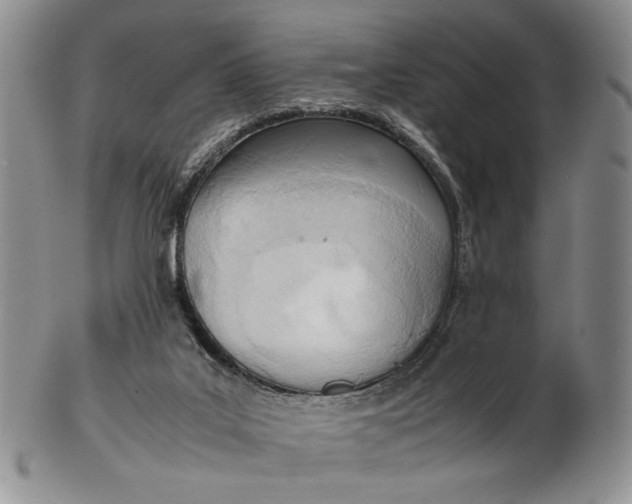 X0000102760019200809021017